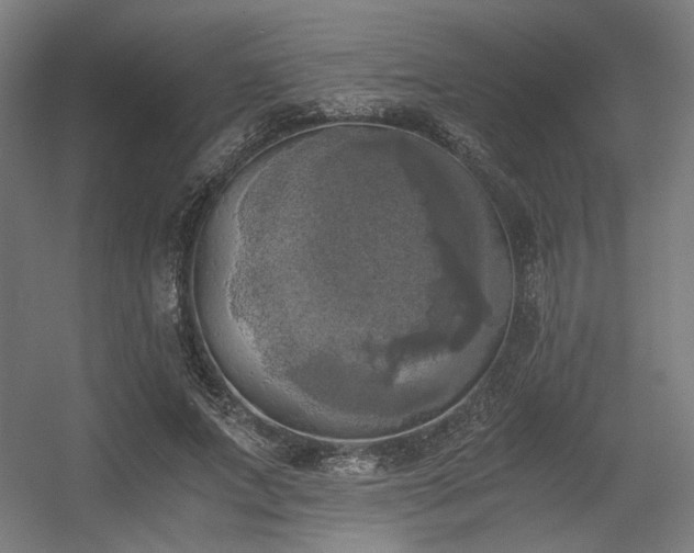 X0000056340687200508291316