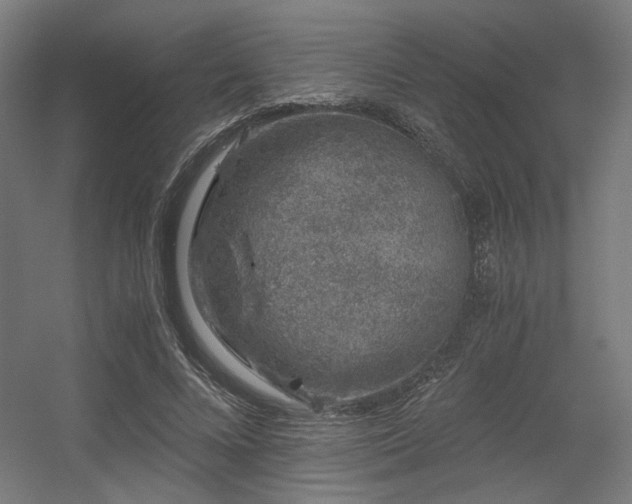 X0000056340688200508291316