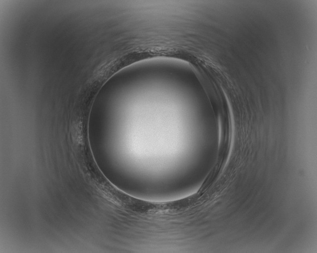 X0000056340689200508291316