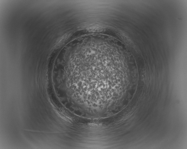 X0000056340690200508291316