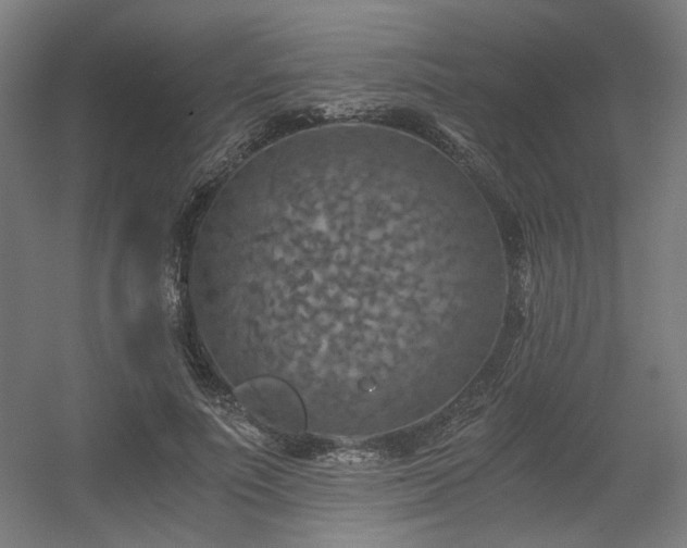 X0000056340691200508291316