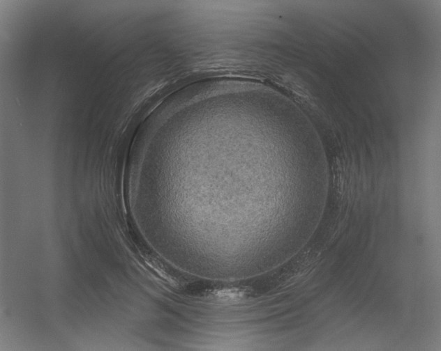 X0000056340692200508291316