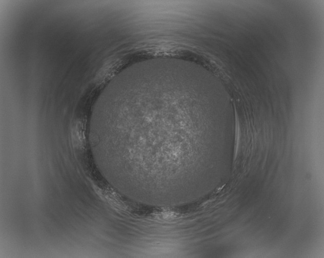 X0000056340695200508291316