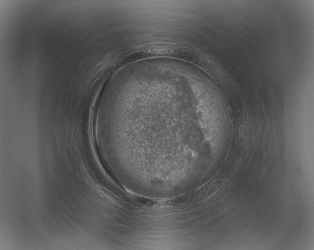 X0000056340696200508291316