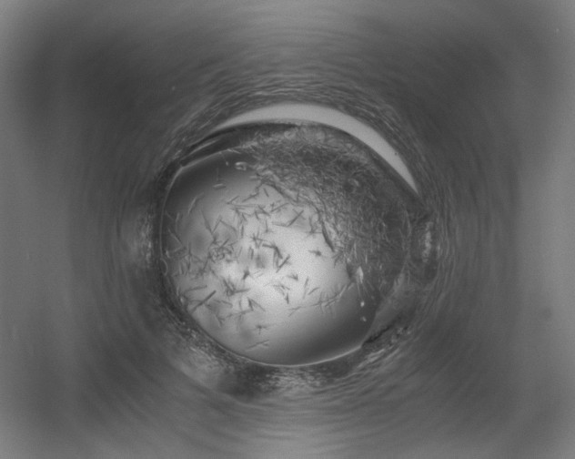 X0000056340697200508291316