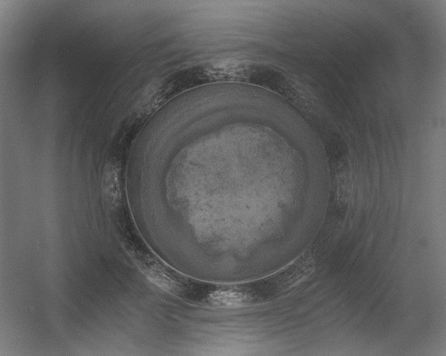 X0000056340699200508291316