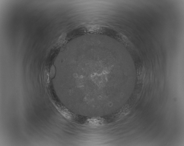 X0000056340703200508291316