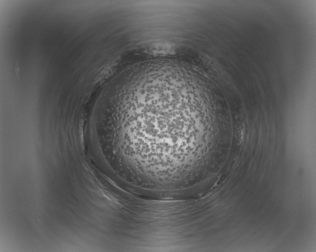 X0000056340704200508291316