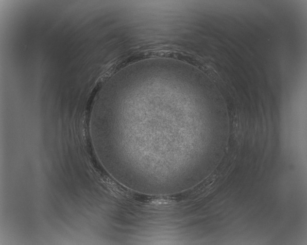 X0000056340708200508291316