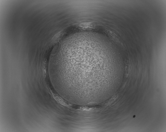 X0000056340710200508291316