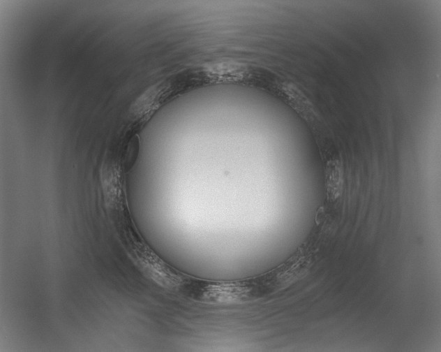 X0000056340713200508291315