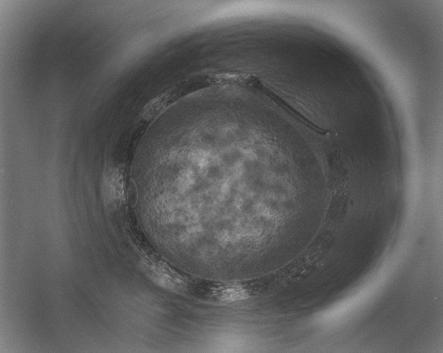 X0000056340715200508291315