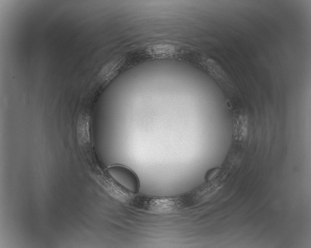 X0000056340717200508291315