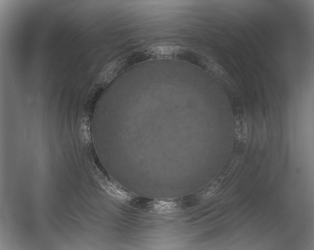 X0000056340718200508291315