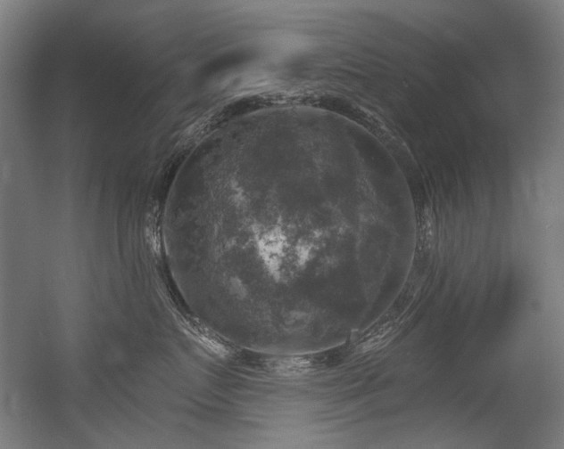 X0000056340719200508291315