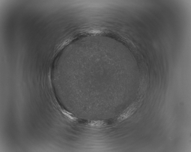 X0000056340720200508291315