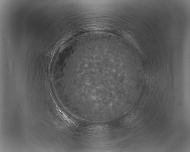 X0000056340721200508291315