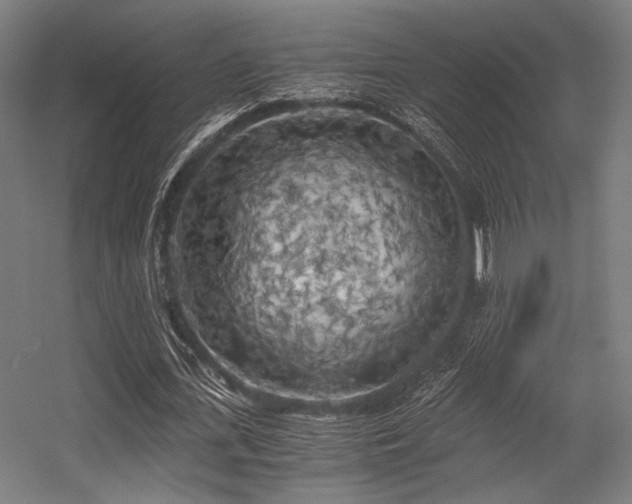 X0000056340723200508291315