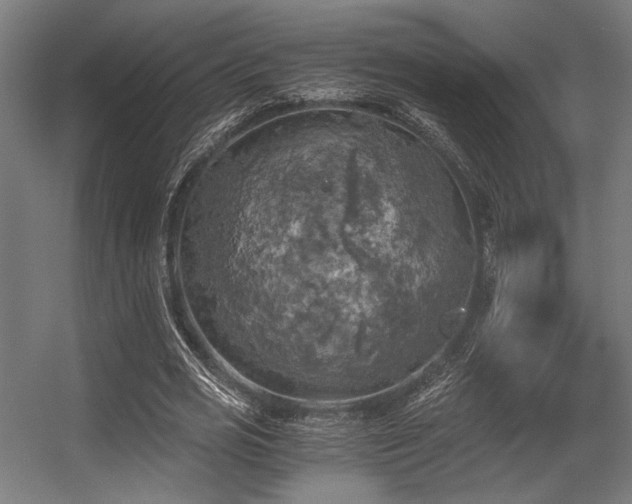 X0000056340725200508291315