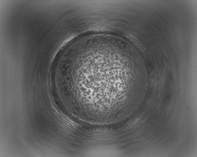 X0000056340727200508291315