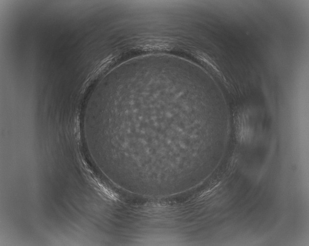 X0000056340729200508291315