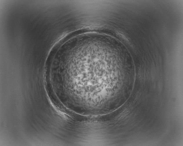 X0000056340730200508291315