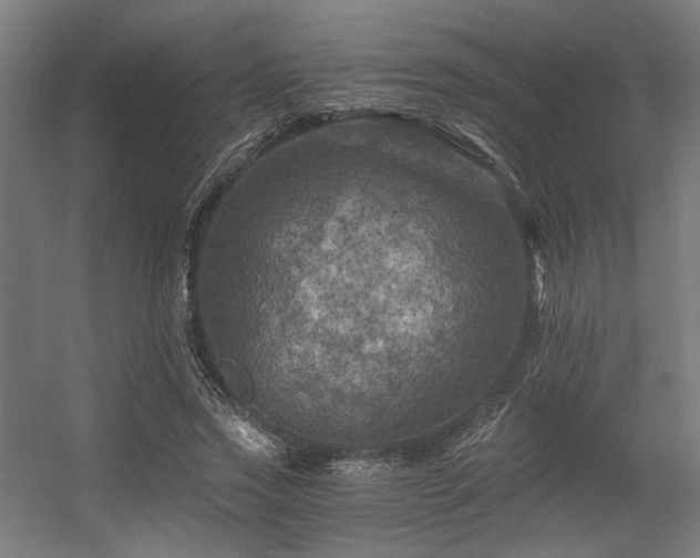 X0000056340733200508291315