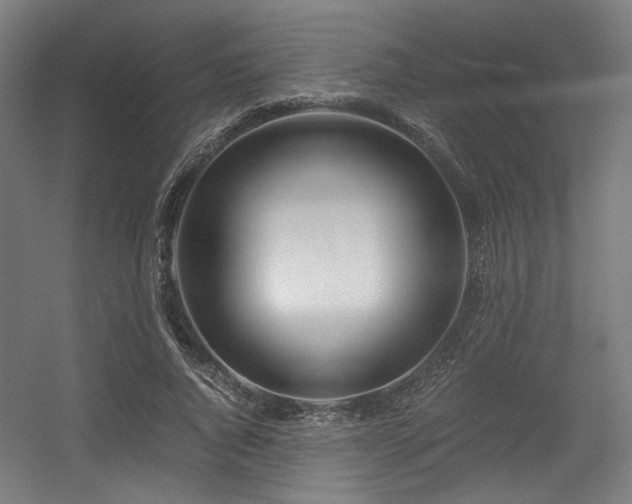 X0000056340736200508291315