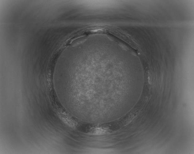 X0000056340737200508291315