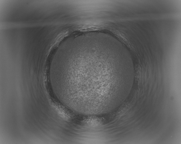 X0000056340738200508291315