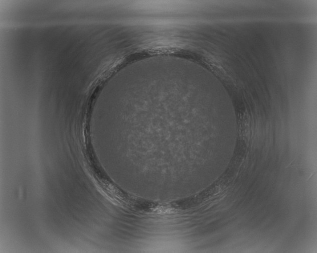 X0000056340742200508291315