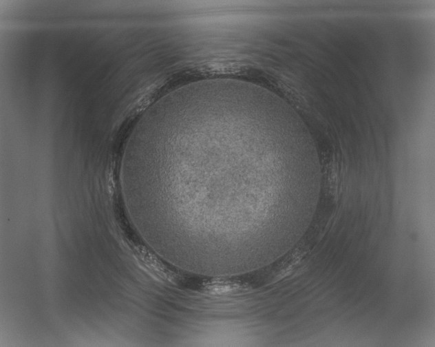 X0000056340746200508291315