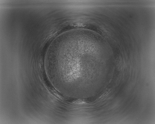 X0000056340747200508291315