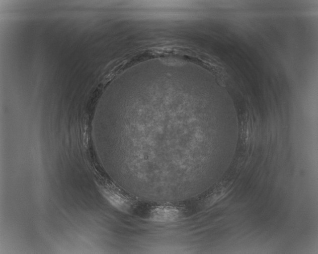 X0000056340749200508291315