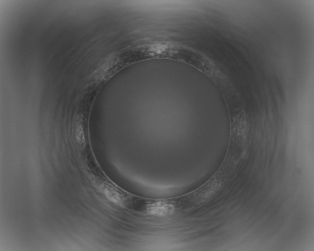 X0000056340754200508291315