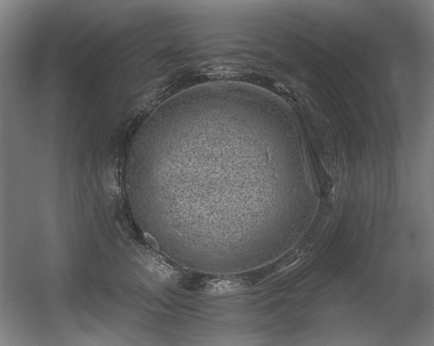 X0000056340755200508291315