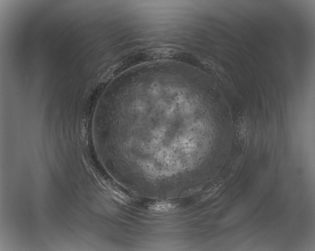 X0000056340759200508291315