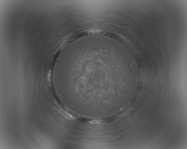 X0000056340761200508291315