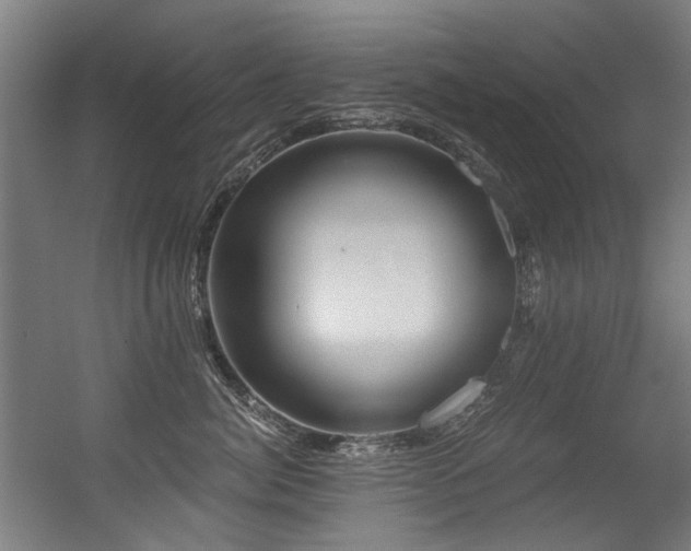 X0000056340764200508291315