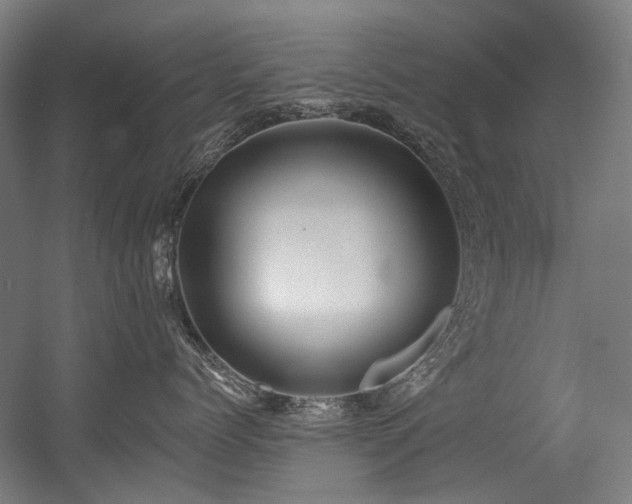 X0000056340768200508291315