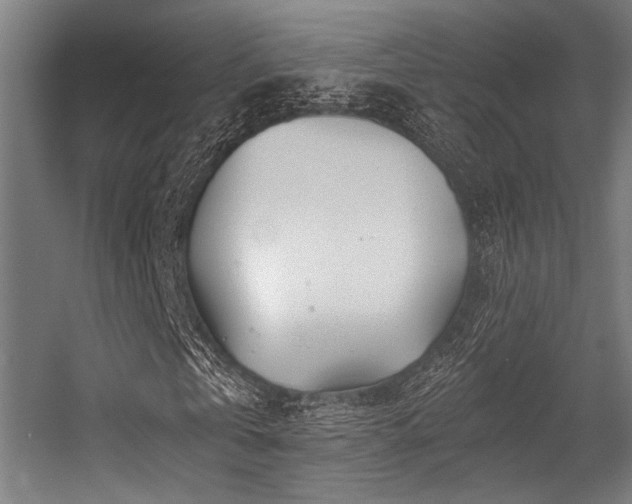 X0000056340769200508291315