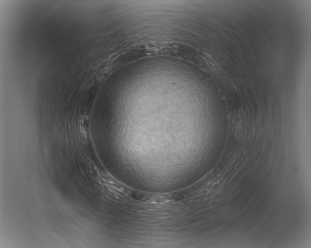 X0000056340770200508291315