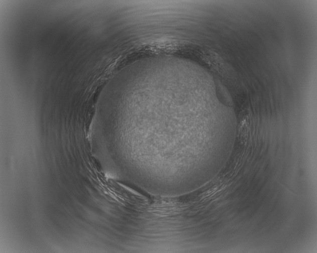 X0000056340772200508291314