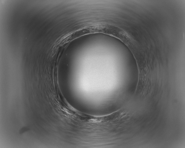 X0000056340773200508291314