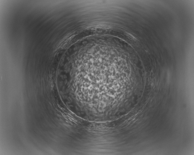 X0000056340774200508291314