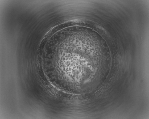 X0000056340776200508291314