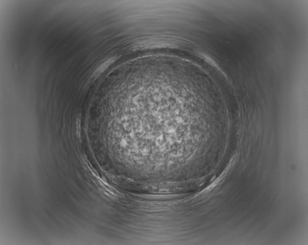 X0000056340777200508291314