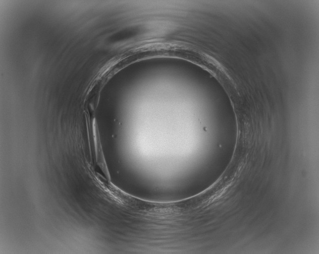 X0000056340778200508291314