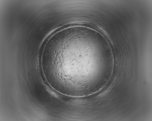 X0000056340779200508291314