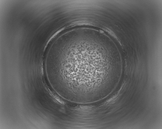 X0000056340782200508291314